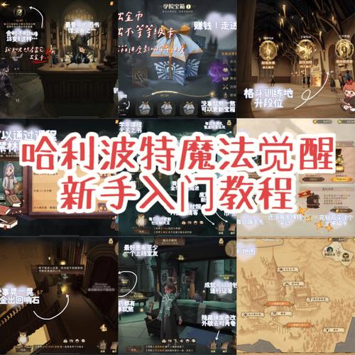 哈利波特魔法觉醒新手指南:如何选择与培养核心卡牌攻略指南