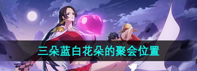 航海王热血航线三朵蓝白花朵的聚会在哪-三朵蓝白花朵的聚会位置