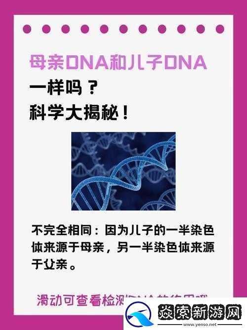 母亲-DNA-和儿子-DNA-一样不：探究亲缘奥秘