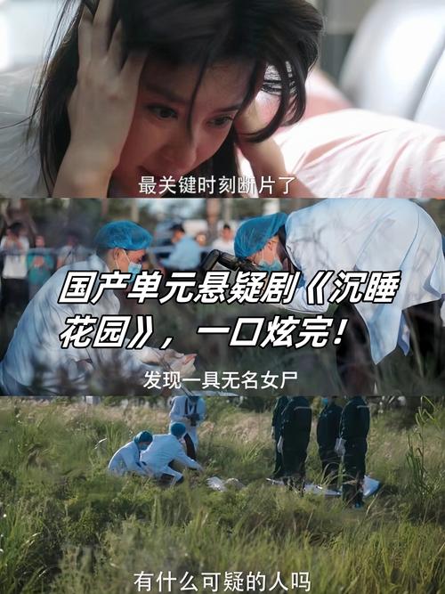 国产 3 级在线,在线观看,精彩不断