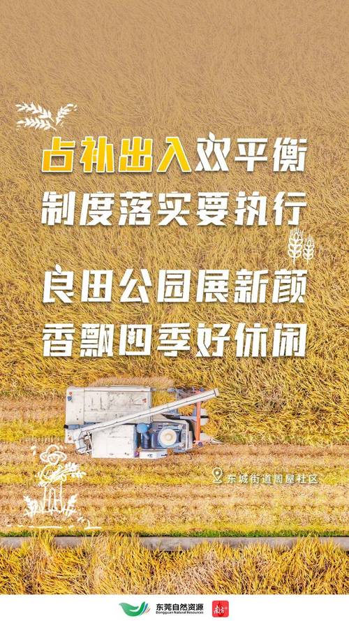 大地资源免费第二页,谁看谁知道