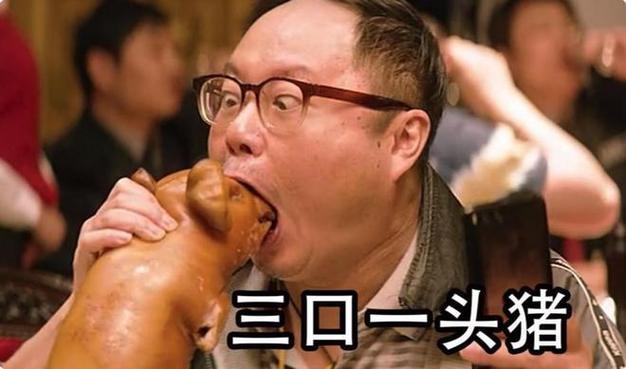 欧美 zooskoolpigzoo 猪霸榜热搜