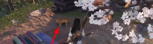 《燕云十六声》猫猫两撮毛位置