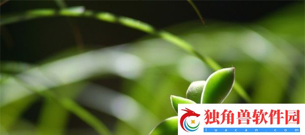 散场后11h言禾：思考与生活的深度洞察