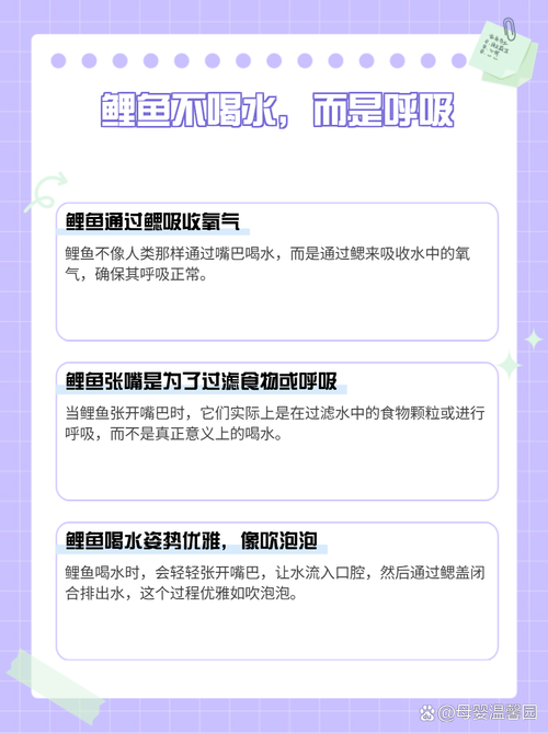 女人绝技鲤鱼喝水怎么弄:水中的优雅身姿