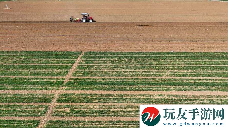 儿子耕种母亲的田地的寓意视频：关于亲情与传承的深刻解读