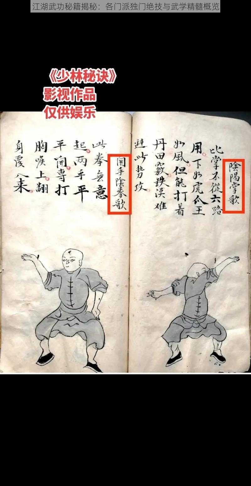 江湖武功秘籍揭秘：各门派独门绝技与武学精髓概览