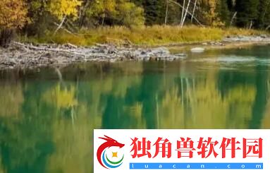 久久久国产精华特点：让出行更便捷
