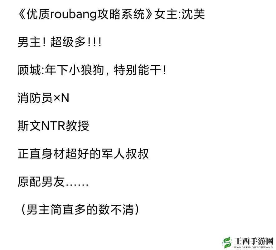 优质 RB 攻略系统!打造全方位精彩攻略指南