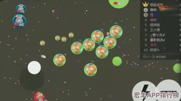 掌握生存艺术