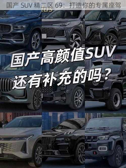 国产 SUV 精二区 69:打造你的专属座驾