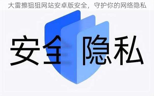 大雷擦狙狙网站安卓版安全,守护你的网络隐私