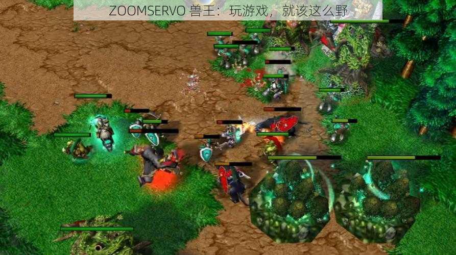 ZOOMSERVO 兽王:玩游戏,就该这么野