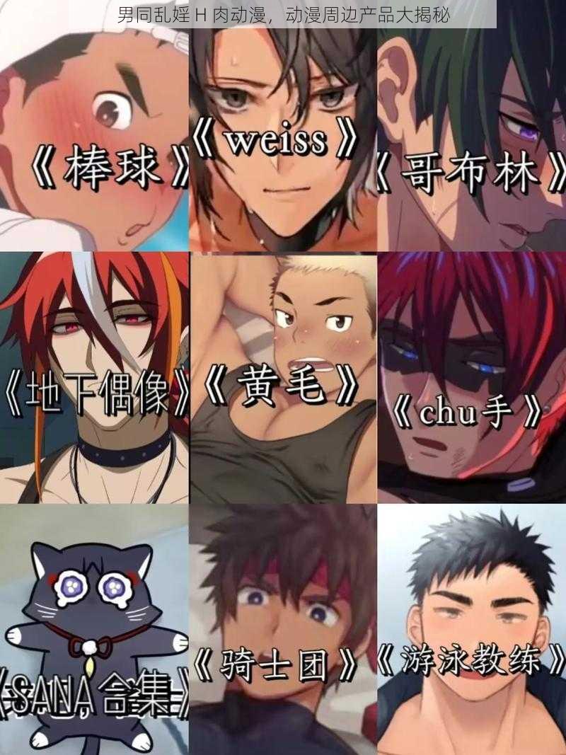 男同乱婬 H 肉动漫，动漫周边产品大揭秘