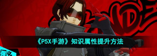P5X手游知识属性怎么提升-知识属性提升方法