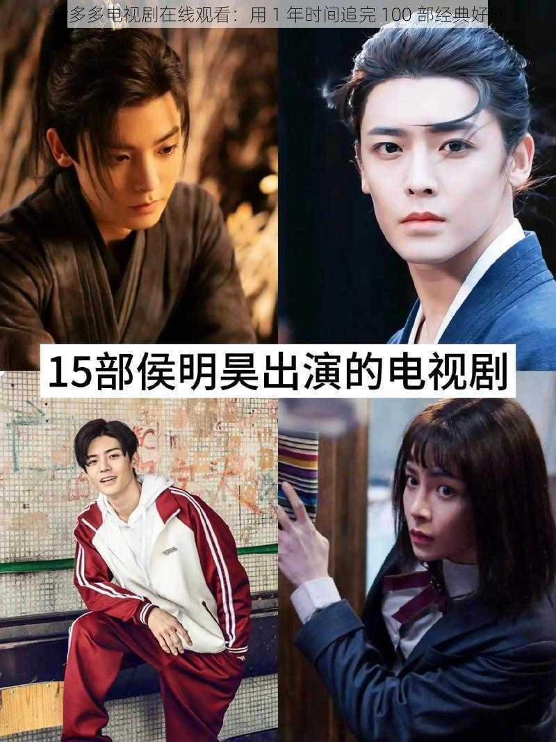 片多多电视剧在线观看：用 1 年时间追完 100 部经典好剧