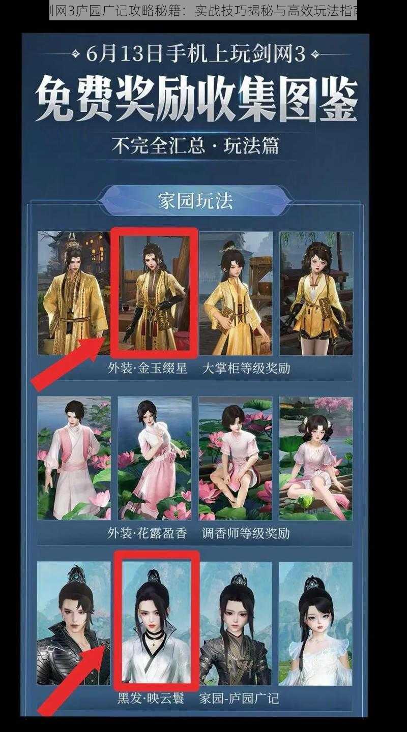 剑网3庐园广记攻略秘籍：实战技巧揭秘与高效玩法指南