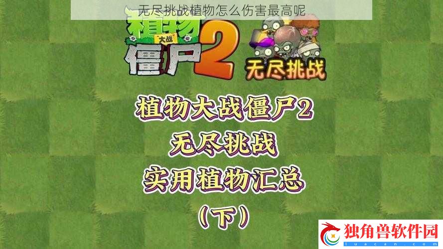 无尽挑战植物怎么伤害最高呢