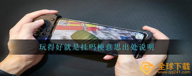 玩得好就是挂吗是什么梗-玩得好就是挂吗梗意思出处说明