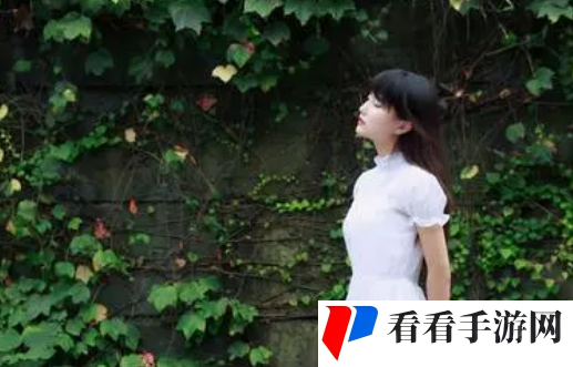 17ccgcg吃瓜网黑料爆料蘑菇：这是一场思想的盛宴
