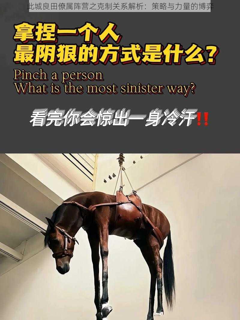此城良田僚属阵营之克制关系解析:策略与力量的博弈