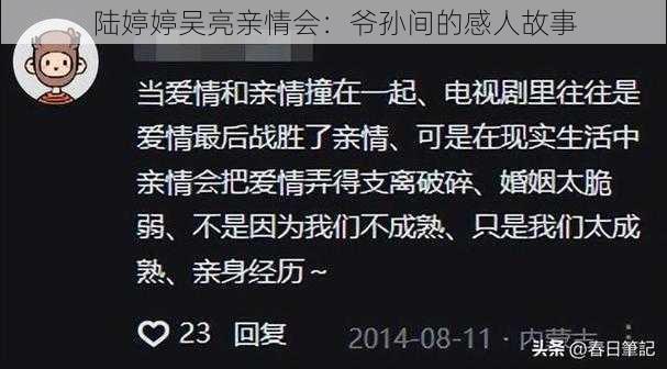 陆婷婷吴亮亲情会:爷孙间的感人故事