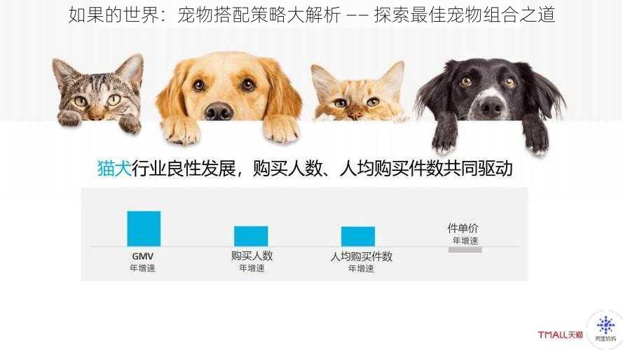如果的世界：宠物搭配策略大解析 —— 探索最佳宠物组合之道