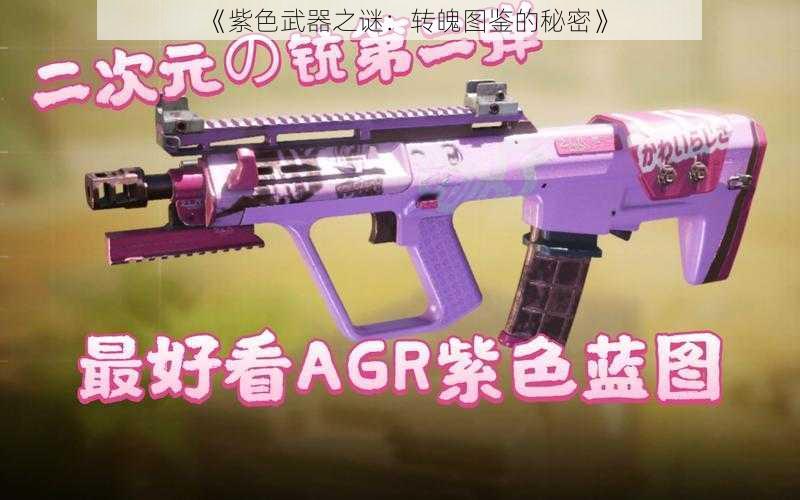 《紫色武器之谜：转魄图鉴的秘密》