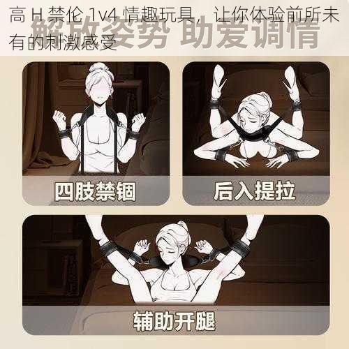 高 H 禁伦 1v4 情趣玩具,让你体验前所未有的刺激感受