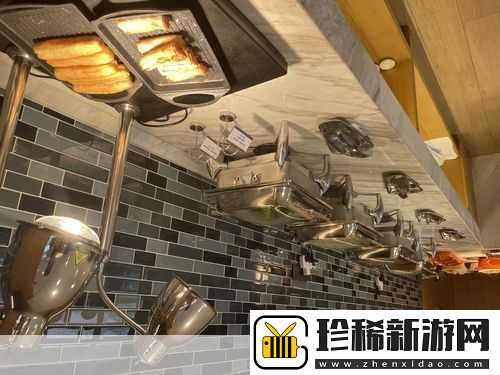 欢乐大厨