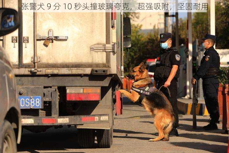 张警犬 9 分 10 秒头撞玻璃夸克,超强吸附,坚固耐用