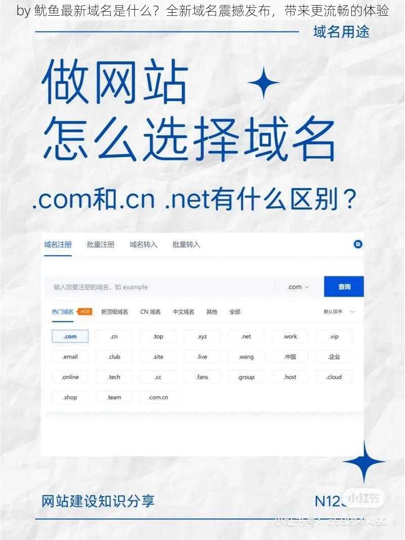 by 鱿鱼最新域名是什么？全新域名震撼发布，带来更流畅的体验