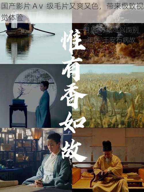 国产影片 Aⅴ 级毛片又爽又色,带来极致视觉体验