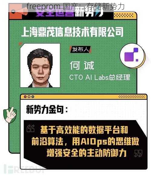freeprom 国产:存储新势力