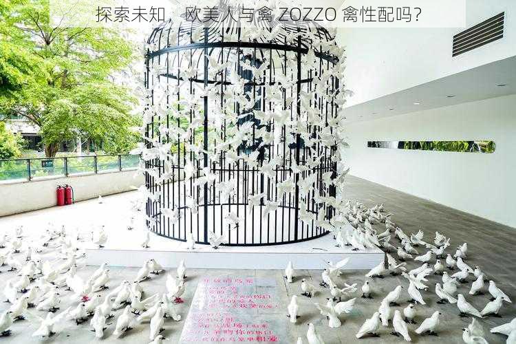 探索未知,欧美人与禽 ZOZZO 禽性配吗?