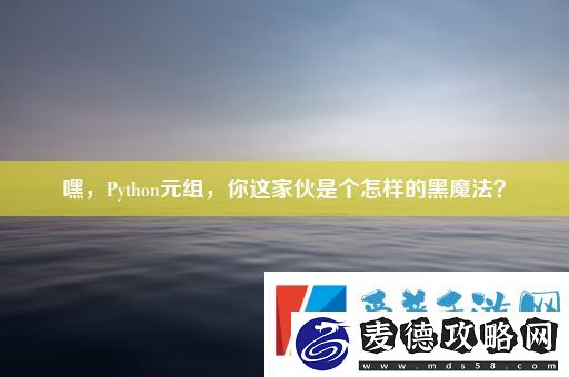嘿-Python元组-你这家伙是个怎样的黑魔法