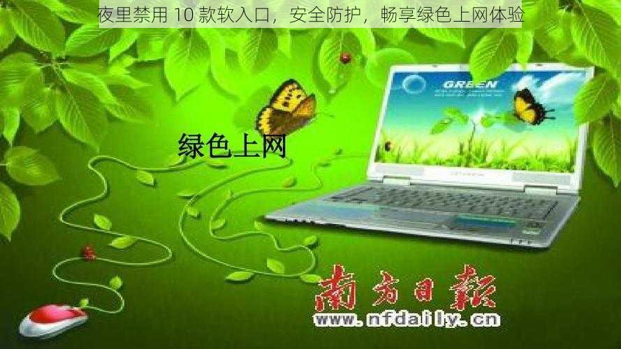 夜里禁用 10 款软入口，安全防护，畅享绿色上网体验