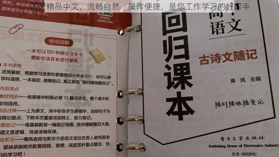 国产精品中文，流畅自然，操作便捷，是您工作学习的好帮手
