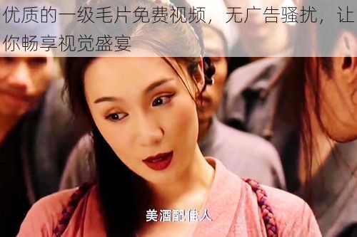 优质的一级毛片免费视频,无广告骚扰,让你畅享视觉盛宴