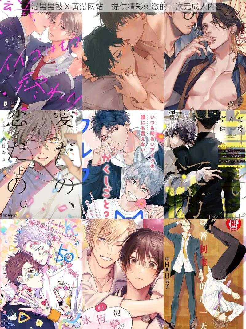 动漫男男被 X 黄漫网站:提供精彩刺激的二次元成人内容