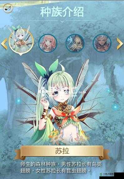 螺旋境界线欧灵种族深度探索,解锁奇幻世界的钥匙
