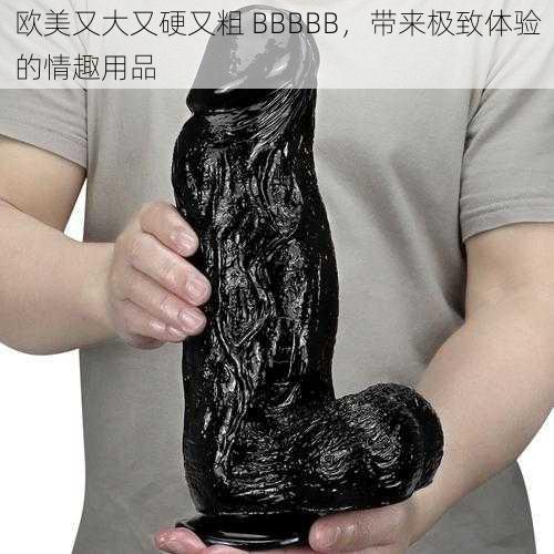 欧美又大又硬又粗 BBBBB,带来极致体验的情趣用品