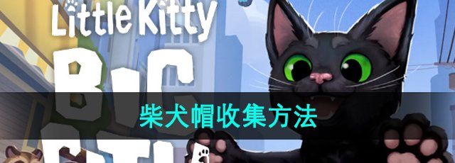 小猫咪大城市柴犬帽怎么获得-柴犬帽获得方法