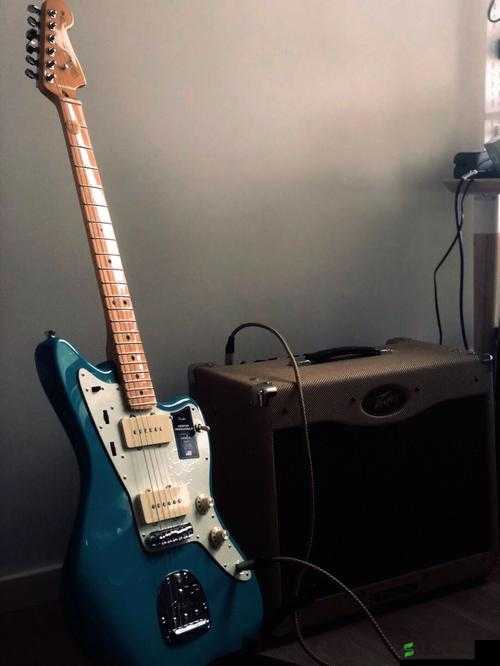 Jazzmaster 系列 ：独具魅力的音乐灵魂伴侣