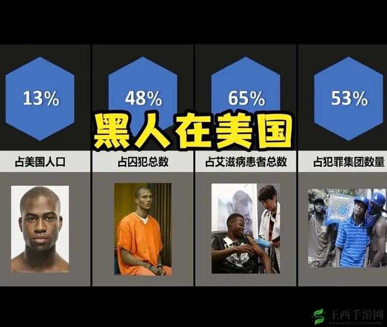 关于黑人的精辟言论:是种族歧视还是文化差异?- 探讨黑人的精厕背后的原因和影响