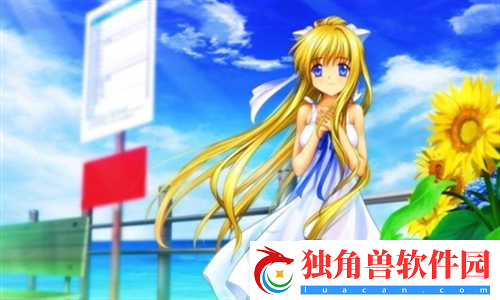 thewhitebox精选黑与白：旅途中的对比与共鸣