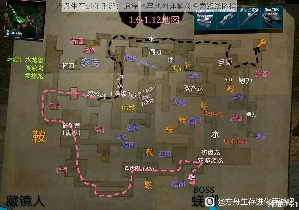 方舟生存进化手游：沼泽地牢地图详解及探索路线图指南