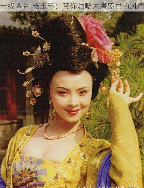 一级 A 片 杨玉环:带你领略大唐盛世的风情