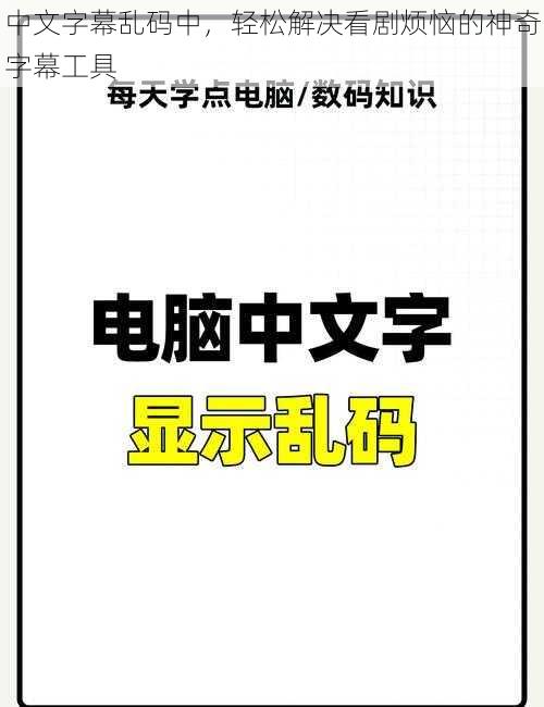 中文字幕乱码中，轻松解决看剧烦恼的神奇字幕工具