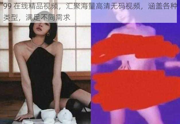 99 在线精品视频，汇聚海量高清无码视频，涵盖各种类型，满足不同需求